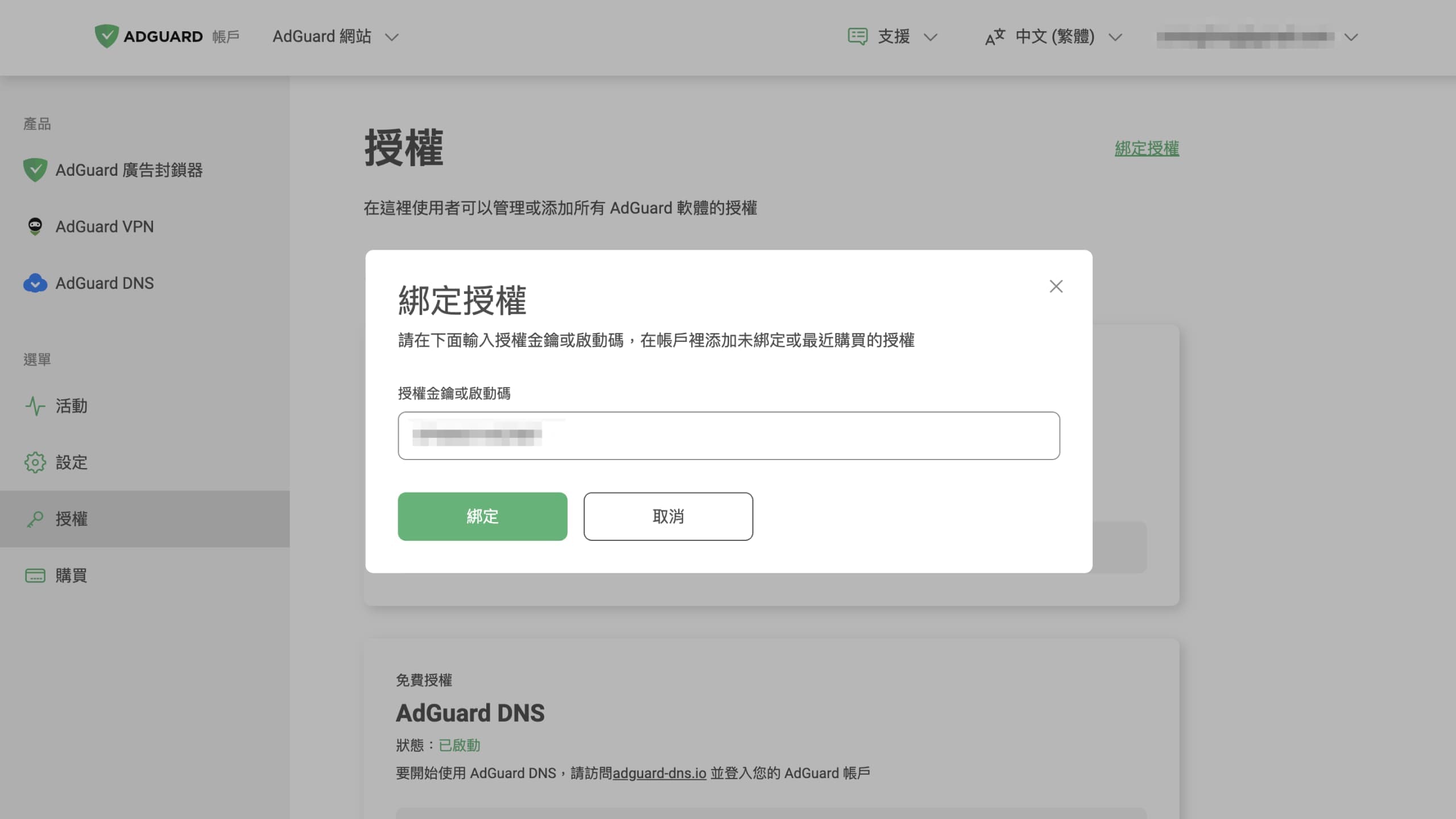 在AdGuard VPN官網輸入序號
