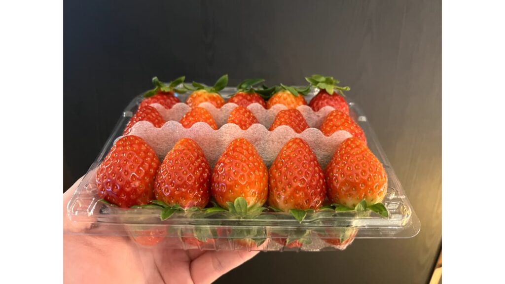 韓國弘大便利商店草莓
